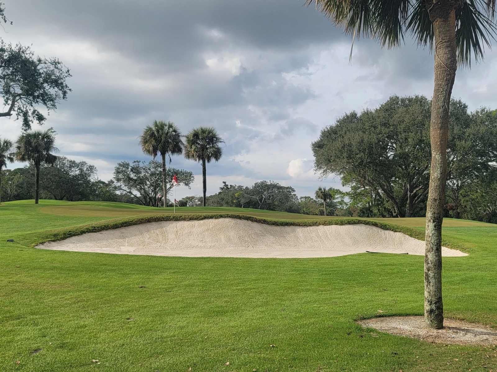 A rebuilt bunker framed by palms at Mission Valley